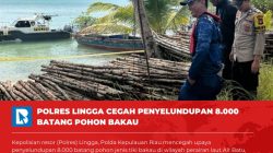 HEDEH… Masih Ada yang Main Tebang-Tebang ya…. 8 Ribu Batang Pohon Bakau