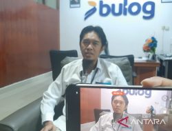 Bulog Tanjungpinang datangkan 200 ribu liter Minyakita