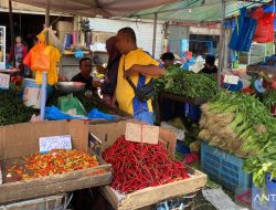 DKPP Batam sebut hanya cabai rawit merah tembus harga acuan penjualan
