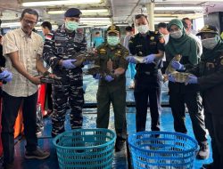 Dikawal Karantina, 8,3 Ton Ikan Hidup Asal Natuna Diekspor ke Hong Kong