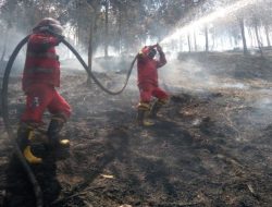 Kemenhut intensif padamkan karhutla di wilayah Riau dan Kepulauan Riau