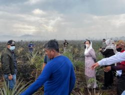 Tinjau Lokasi Karhutla di Batubi, Bupati Cen Sui Lan Instruksikan Penyaluran Dana BTT untuk Petani