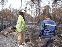 Tinjau Kebakaran Hutan, Ariastuty Imbau Masyarakat Waspadai Setiap Tindakan