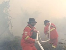 Kemenhut berupaya padamkan karhutla di habitat harimau sumatera