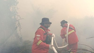 Kemenhut berupaya padamkan karhutla di habitat harimau sumatera