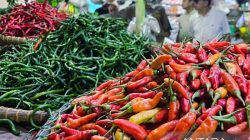 Cabai Natuna melimpah, Pemkab Natuna jajaki kerja sama dengan Anambas untuk menjaga pasokan dan stabilitas harga serta menekan inflasi daerah.