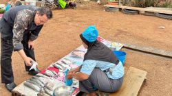 Program “Dari Laut ke Meja” Grand Mercure Batam Centre pada Hari Nelayan Nasional memperkuat kesejahteraan nelayan Bengkong sekaligus mendukung UMKM pesisir secara berkelanjutan.