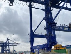 BP Batam: Volume peti kemas pelabuhan tumbuh 12 persen secara tahunan