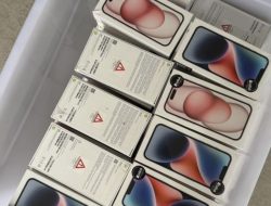 BC Batam gagalkan penyelundupan 337 unit handphone di pelabuhan