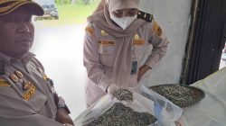 Potensi perikanan Natuna terus meningkat. Karantina Kepri menyertifikasi 9,2 ton ikan teri kering senilai Rp462 juta untuk distribusi ke Tanjungpinang dan Bintan.