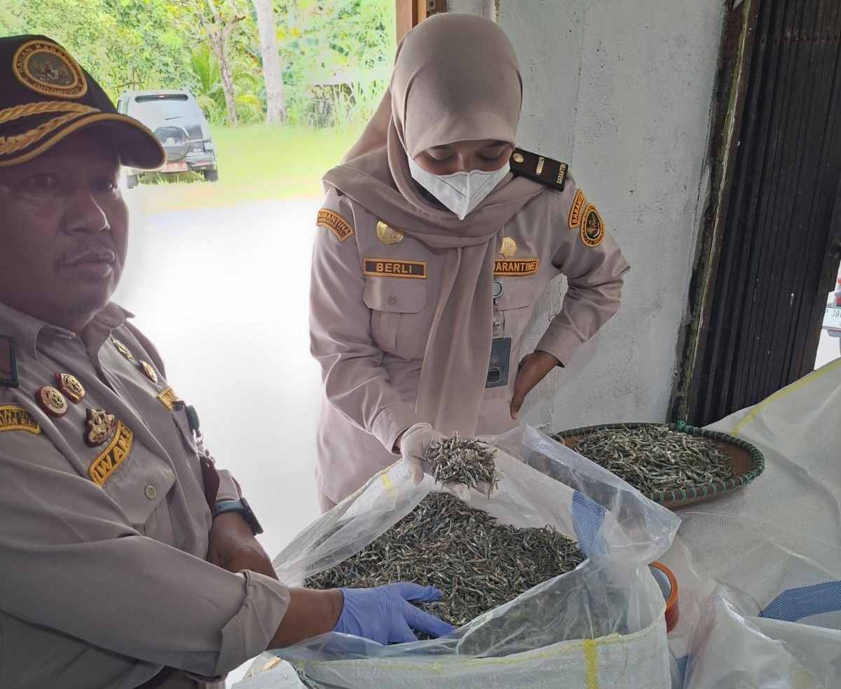 Potensi perikanan Natuna terus meningkat. Karantina Kepri menyertifikasi 9,2 ton ikan teri kering senilai Rp462 juta untuk distribusi ke Tanjungpinang dan Bintan.