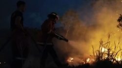 Kebakaran Hutan Natuna Hanguskan 4 Hektare, Gudang Puskesmas Ikut Terdampak