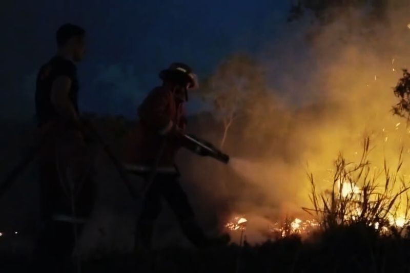 Kebakaran hutan Natuna menghanguskan 4 hektare lahan dan merusak isi gudang puskesmas, dipicu kondisi kering akibat El Nino.