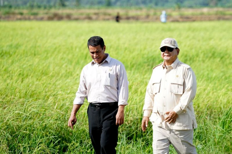 Sektor pertanian jadi tulang punggung ekonomi nasional. Bank Indonesia mencatat kinerja usaha tetap positif, didukung panen, konsumsi, dan kebijakan strategis pemerintah.