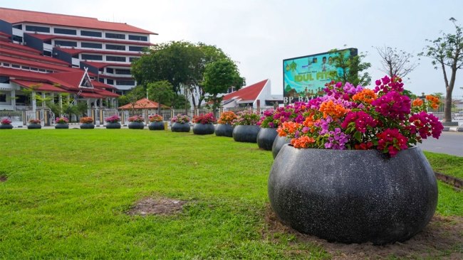 Pot bougenville Batam menjadi perhatian publik. BP Batam memastikan penataan kota ini menggunakan dana CSR tanpa membebani APBN dan anggaran daerah.