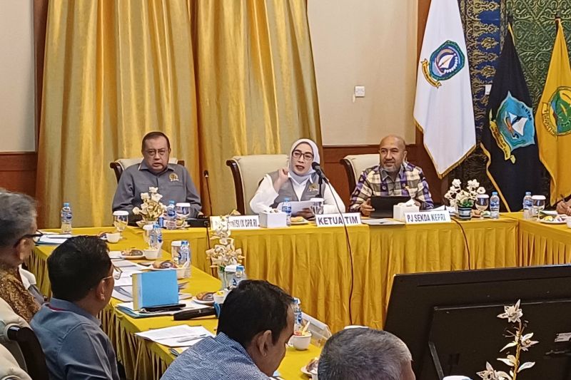 Prosedur kerja luar negeri menjadi kunci perlindungan PMI Kepri. DPR RI dan BP3MI menegaskan pentingnya jalur resmi untuk mencegah deportasi dan risiko hukum.