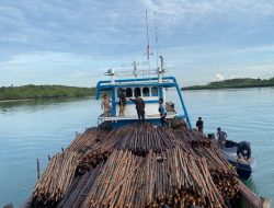 Polda Kepri Gagalkan Penyelundupan 12.000 Batang Kayu Bakau ke Singapura