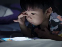 PP Tunas Lindungi Anak, Ansar Dorong Literasi Digital Kepri