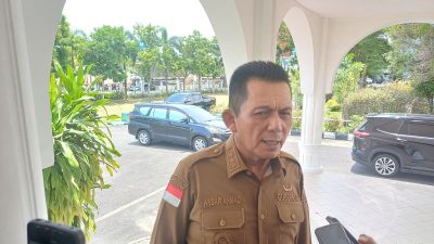 Pemprov Kepri dan PLN targetkan enam pulau nikmati listrik 24 jam