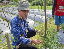 Pemkot Batam bayarkan premi jaminan sosial 2026 untuk 2.500 petani