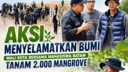 Amsakar Ngarung di Lumpur, Tanam 2.000 Mangrove Demi Batam Asri