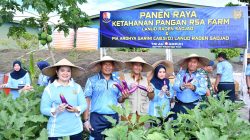 Panen Raya RSA Farm, Lanud Raden Sadjad Dorong Kemandirian Pangan di Natuna