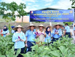 Panen Raya RSA Farm, Lanud Raden Sadjad Dorong Kemandirian Pangan di Natuna