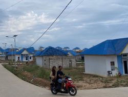 BP Batam percepat transmigrasi lokal ke Rempang Eco City