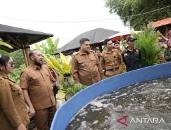 Wali Kota Makassar instruksikan pertanian perkotaan dukung Program MBG