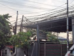 PLN Watch: Perusahaan internet tidak boleh pakai tiang PLN tanpa izin