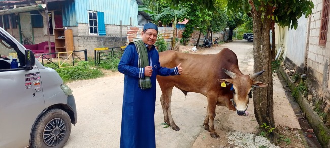 Wakil Ketua Komunitas Jurnalis Kepri (KJK), Novianto menunjukkan Sapi Qurban