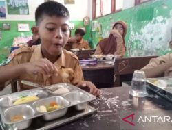 Ekonom paparkan strategi Program MBG dan ketahanan fiskal beriringan