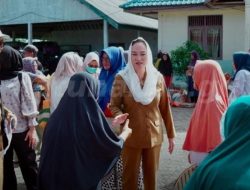 Kendalikan Inflasi, Bupati Cen Sui Lan Rencanakan Pasar Murah di 17 Kecamatan se-Natuna