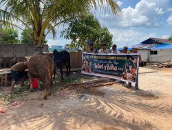 Sambut Idul Adha 1447 H, Panbil Group Salurkan Puluhan Hewan Kurban ke Berbagai Wilayah Batam