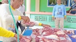 Perdana, Komunitas Pecinta Domino Natuna Kurbankan Dua Ekor Sapi di Desa Pengadah