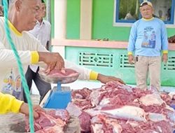 Perdana, Komunitas Pecinta Domino Natuna Kurbankan Dua Ekor Sapi di Desa Pengadah