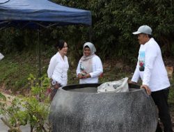 Setelah Jati Emas, Giliran Bugenvil Dirusak Orang