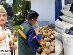 Karantina Kepri Awasi Pengiriman Komoditas Pertanian Natuna Bernilai Rp1,26 Miliar