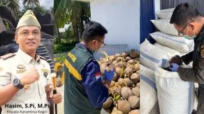 Karantina Kepri Awasi Pengiriman Komoditas Pertanian Natuna Bernilai Rp1,26 Miliar