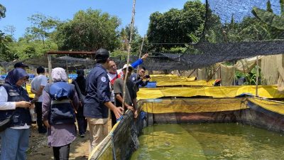 Pemkot sebut Batam mandiri ikan air tawar dari produksi budidaya