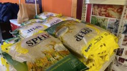 Bulog Batam perluas akses bahan pangan melalui jaringan mitra