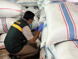 Bebas OPTK, 188,7 Ton Cengkih Asal Natuna Berlayar ke Semarang