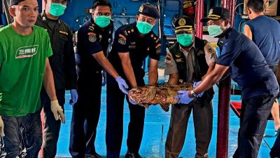 Karantina: Perikanan Natuna mampu bersaing di pasar ekspor