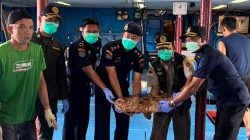 Karantina Kepri menerbitkan sertifikat kesehatan untuk 10.362 ekor ikan hidup asal Natuna yang diekspor ke Hong Kong. Nilai ekspor mencapai Rp1,1 miliar dengan dominasi ikan kerapu.