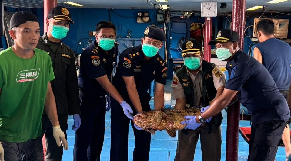 Karantina Kepri menerbitkan sertifikat kesehatan untuk 10.362 ekor ikan hidup asal Natuna yang diekspor ke Hong Kong. Nilai ekspor mencapai Rp1,1 miliar dengan dominasi ikan kerapu.