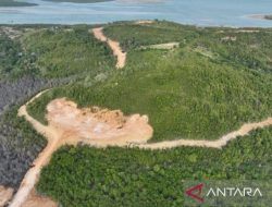 Kemenhut tetapkan PT GTP jadi tersangka kasus perambahan hutan lindung