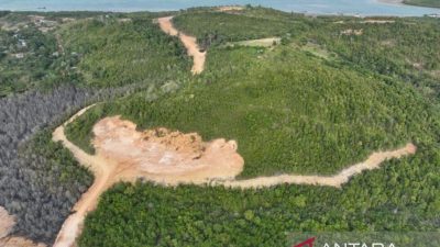 Kemenhut tetapkan PT GTP jadi tersangka kasus perambahan hutan lindung
