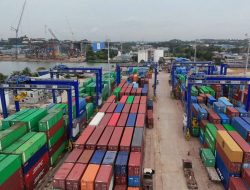 Direct Call Internasional TPK Batu Ampar Melonjak 212 Persen, BP Batam Perkuat Posisi Batam sebagai Hub Logistik Asia