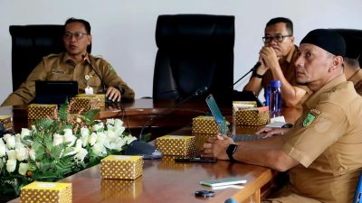 Pemkab Natuna optimalkan posyandu untuk intervensi stunting