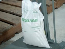 Bapanas tambah penerima bantuan beras di Natuna sebanyak 1.733 orang